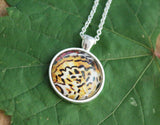 Fritillary Butterfly, Yellow Butterfly Pendant, Butterfy Necklace, Butterfly Wing Necklace, Picture Pendant of Wing, Entomology Necklace