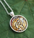 Fritillary Butterfly, Yellow Butterfly Pendant, Butterfy Necklace, Butterfly Wing Necklace, Picture Pendant of Wing, Entomology Necklace