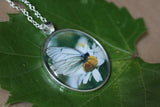 Black Veined White Butterfly Pendant, White Butterfly Necklace, Butterfly Pendant Necklace, Picture Pendant of Wing, Entomology Necklace