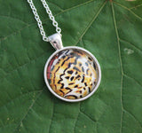 Fritillary Butterfly, Yellow Butterfly Pendant, Butterfy Necklace, Butterfly Wing Necklace, Picture Pendant of Wing, Entomology Necklace