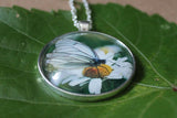 Black Veined White Butterfly Pendant, White Butterfly Necklace, Butterfly Pendant Necklace, Picture Pendant of Wing, Entomology Necklace