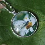 Black Veined White Butterfly Pendant, White Butterfly Necklace, Butterfly Pendant Necklace, Picture Pendant of Wing, Entomology Necklace
