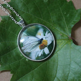 Black Veined White Butterfly Pendant, White Butterfly Necklace, Butterfly Pendant Necklace, Picture Pendant of Wing, Entomology Necklace