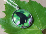 Asian Swallowtail Butterfly, Butterfly Pendant Necklace, Black Butterfly, Butterfly Necklace, Picture Pendant of Butterfly, Entomology