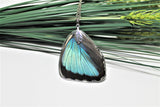 Real Blue Morpho Wing v2, Real Wing Necklace, Blue Butterfly Necklace, Morpho Deidamia Necklace, Entomology, Butterfly Wing Encased in Resin