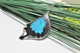 Real Ulysses Wing, Real Wing Necklace, Blue Black Butterfly Necklace, Papilio Ulysses Necklace, Entomology, Butterfly Wing Encased in Resin