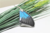 Real Ulysses Wing v2, Real Wing Necklace, Blue Black Butterfly, Papilio Ulysses Necklace, Entomology, Butterfly Wing Encased in Resin, Wing