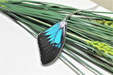 Real Ulysses Wing v2, Real Wing Necklace, Blue Black Butterfly, Papilio Ulysses Necklace, Entomology, Butterfly Wing Encased in Resin, Wing
