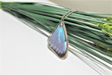 Real Morpho Thamyris, Silver Butterfly Necklace, Real Wing Necklace, Iridescent Butterfly Necklace, Lepidoptera Necklace, Entomology, Morpho
