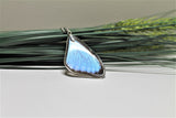 Real Morpho Thamyris, Silver Butterfly Necklace, Real Wing Necklace, Iridescent Butterfly Necklace, Lepidoptera Necklace, Entomology, Morpho