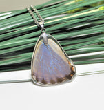 Real Morpho Thamyris v2, Silver Butterfly Necklace, Real Wing Necklace, Iridescent Butterfly Necklace, Lepidoptera Necklace, Entomology,