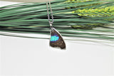 Turquoise Emperor Wing, Butterfly Wing Pendant Necklace, Doxocopa Cherubina, Butterfly Wing Necklace, wing Encased in Resin, Zoology,