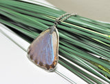 Real Morpho Thamyris v2, Silver Butterfly Necklace, Real Wing Necklace, Iridescent Butterfly Necklace, Lepidoptera Necklace, Entomology,