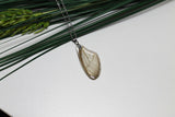 Real Pink Glasswing Wing v2, Butterfly Wing Pendant Necklace, Cithaeria aurora, Butterfly Wing Necklace, Preserved Wing, Insect jewelry