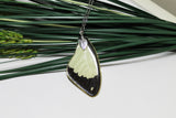 African swallowtail, Mocker Swallowtail,  Flying Handkerchief Wing, Real Wing Necklace, Papilio Dardanus, Preserved Butterfly Wing, Zoology