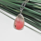 Real Pink Glasswing Wing, Butterfly Wing Pendant Necklace, Cithaeria aurora, Butterfly Wing Necklace, wing Encased in Resin, insect jewelry