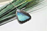 Real Blue Morpho Wing v2, Real Wing Necklace, Blue Butterfly Necklace, Morpho Deidamia Necklace, Entomology, Butterfly Wing Encased in Resin