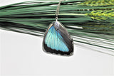 Real Blue Morpho Wing v2, Real Wing Necklace, Blue Butterfly Necklace, Morpho Deidamia Necklace, Entomology, Butterfly Wing Encased in Resin