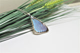 Real Morpho Thamyris, Silver Butterfly Necklace, Real Wing Necklace, Iridescent Butterfly Necklace, Lepidoptera Necklace, Entomology, Morpho