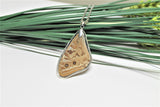 Real Morpho Thamyris, Silver Butterfly Necklace, Real Wing Necklace, Iridescent Butterfly Necklace, Lepidoptera Necklace, Entomology, Morpho