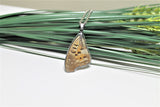 Turquoise Emperor Wing, Butterfly Wing Pendant Necklace, Doxocopa Cherubina, Butterfly Wing Necklace, wing Encased in Resin, Zoology,