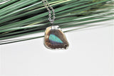 Turquoise Emperor Wing v2, Butterfly Wing Pendant Necklace, Doxocopa Cherubina, Butterfly Wing Necklace, wing Encased in Resin, Zoology,