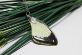 African swallowtail, Mocker Swallowtail,  Flying Handkerchief Wing, Real Wing Necklace, Papilio Dardanus, Preserved Butterfly Wing, Zoology