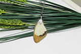 African swallowtail, Mocker Swallowtail,  Flying Handkerchief Wing, Real Wing Necklace, Papilio Dardanus, Preserved Butterfly Wing, Zoology