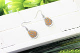 Spotted Lilac Tree Nymph v2, Butterfly Wing Earrings, Sevenia pechueli, Insect Earrings, Encased in Resin, Zoology, Entemology Earrings