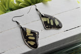 Malachite Wing Earrings, Butterfly Wing Earrings, Insect Earrings, Wing Earrings, Wing Encased in Resin, Preserved Wing, Entemology Jewelry
