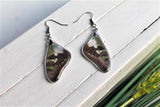 Graphium Weiskei Wing Earrings v2, Real Purple Spotted Swallowtail, Butterfly Wing Earring, Butterfly Wing Preserved, Wing Encased in Resin