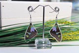 Graphium Weiskei Wing Earrings v2, Real Purple Spotted Swallowtail, Butterfly Wing Earring, Butterfly Wing Preserved, Wing Encased in Resin