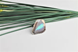 Turquoise Emperor Wing Ring, Butterfly Wing Ring, Doxocopa Cherubina, Butterfly Wing Ring, wing Encased in Resin, Zoology, Entomology Ring