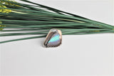 Turquoise Emperor Wing Ring, Butterfly Wing Ring, Doxocopa Cherubina, Butterfly Wing Ring, wing Encased in Resin, Zoology, Entomology Ring