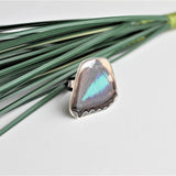 Turquoise Emperor Wing Ring, Butterfly Wing Ring, Doxocopa Cherubina, Butterfly Wing Ring, wing Encased in Resin, Zoology, Entomology Ring