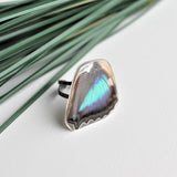 Turquoise Emperor Wing Ring, Butterfly Wing Ring, Doxocopa Cherubina, Butterfly Wing Ring, wing Encased in Resin, Zoology, Entomology Ring