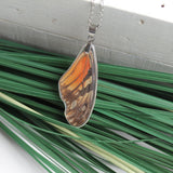 Juno Silverspot Wing Necklace, Butterfly Wing Necklace, Dione Juno, Butterfly Wing Pendant, wing Encased in Resin, Zoology, Entomology