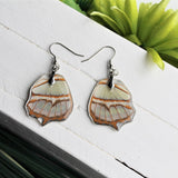Malachite Wing Earrings v2, Butterfly Wing Earring, Insect Earrings, Wing Earring, Wing Encased in Resin, Preserved Wing, Entemology Jewelry