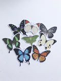 Flying Handkerchief Butterfly Sticker, Planner Sticker, Laptop Sticker, Stickers, Craft Stickers, Nature Stickers, Sticker Collector