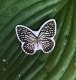 Black and White Butterfly Sticker, Planner Sticker, Laptop Sticker, Stickers, Craft Stickers, Nature Stickers, Sticker Collector