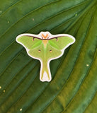 Luna Moth Sticker, Planner Sticker, Laptop Sticker, Stickers, Craft Stickers, Nature Stickers, Sticker Collector, Moth Sticker