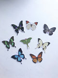 Butterfly Stickers, Planner Sticker, Laptop Sticker, Stickers, Craft Stickers, Nature Stickers, Sticker Collector, Butterfly Collection