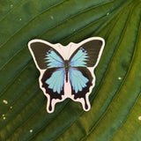 Ulysses Butterfly Sticker, Planner Sticker, Laptop Sticker, Stickers, Craft Stickers, Nature Stickers, Sticker Collector, Blue Butterfly